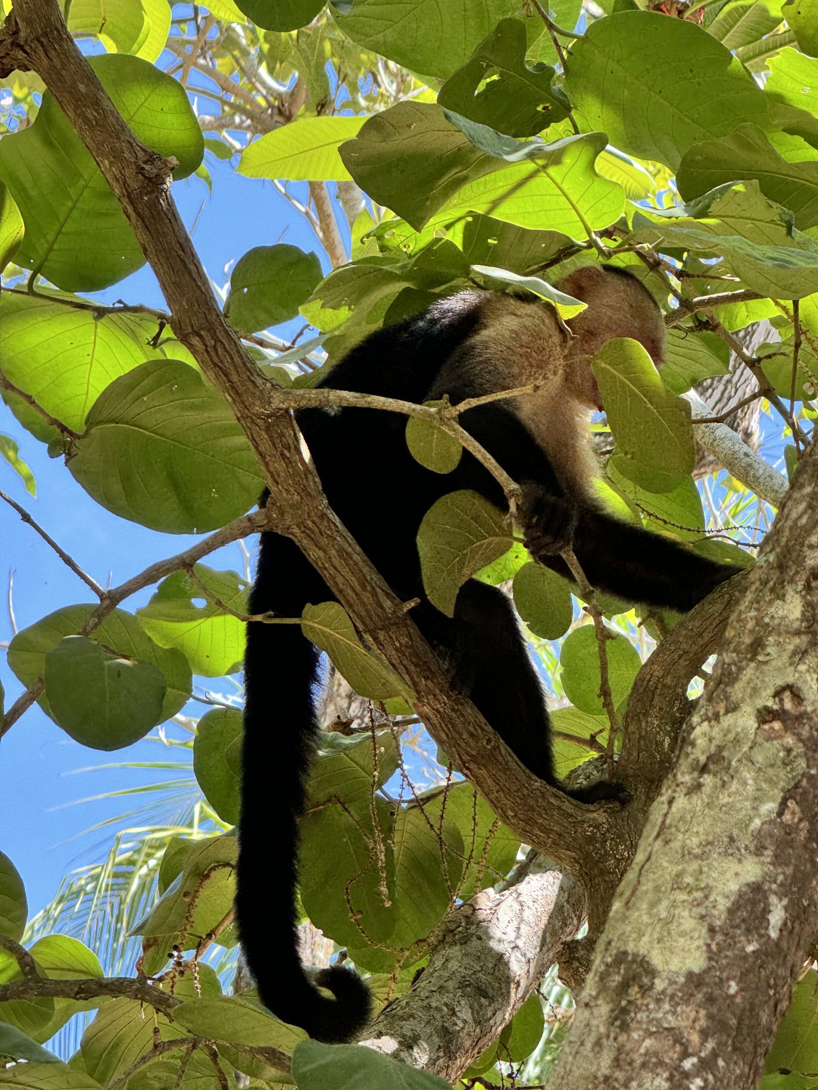 Photo 2024-04-24, 9 08 13 AM