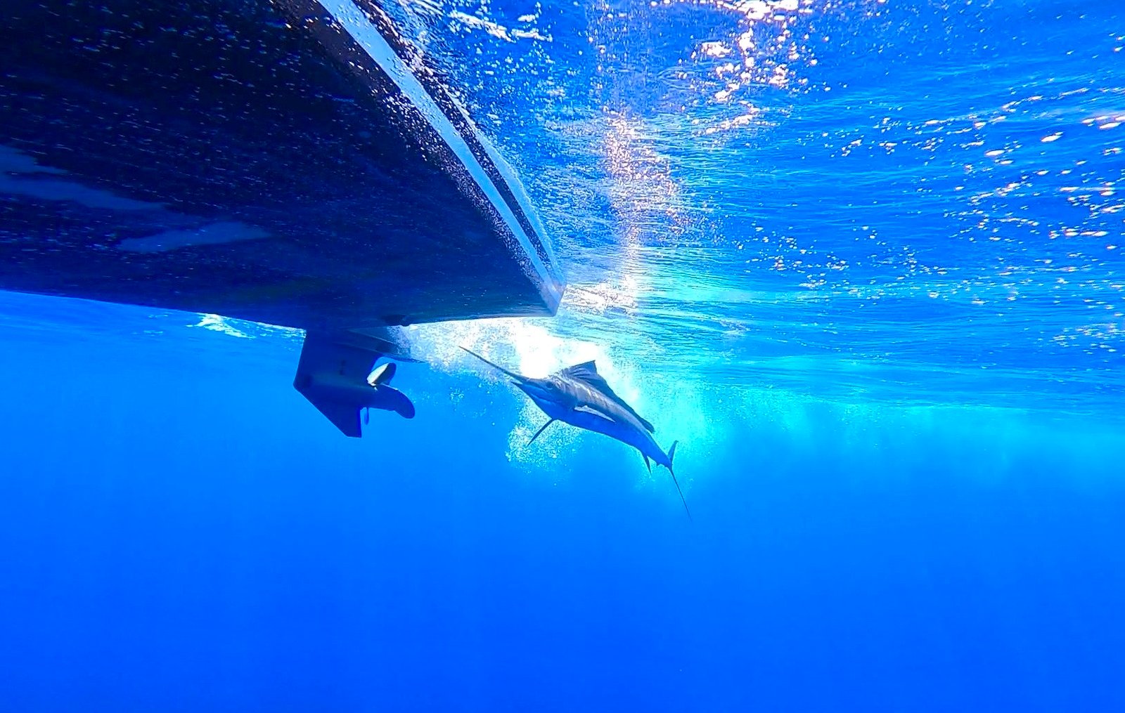 Photo 2024-03-06, 1 16 52 PM (1)