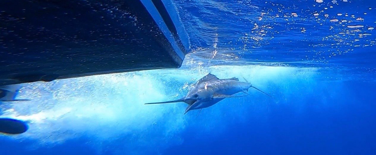 Photo 2024-03-06, 1 16 52 PM